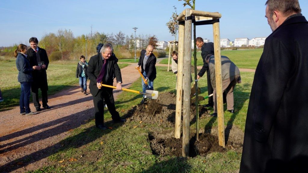 Drei Bäume für Deutschlands Einheit