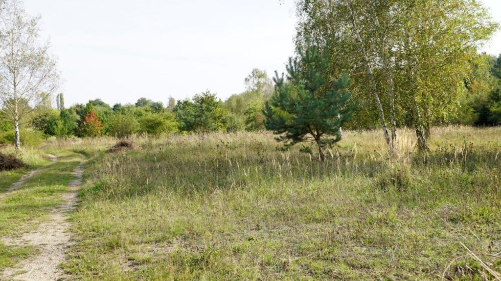Spaziergänge: Die Brandberge