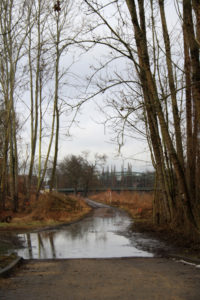 Saaleweg im Winter 2012