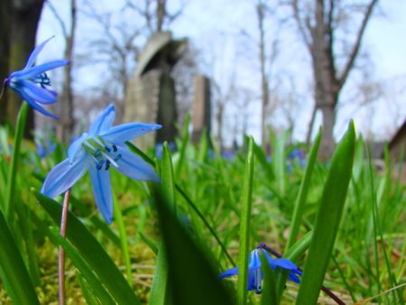 Stadtgottesacker in Blau
