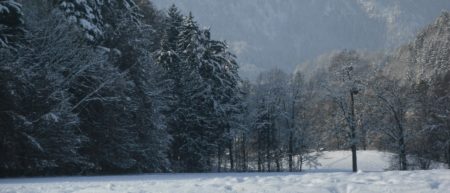 Livingtools und das Intecta Weihnachten mit Livingtools und Geschenkvorschlägen - Winterlandschaft