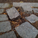 Es fängt klein an ...