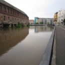 Hochwasser Dom Halle